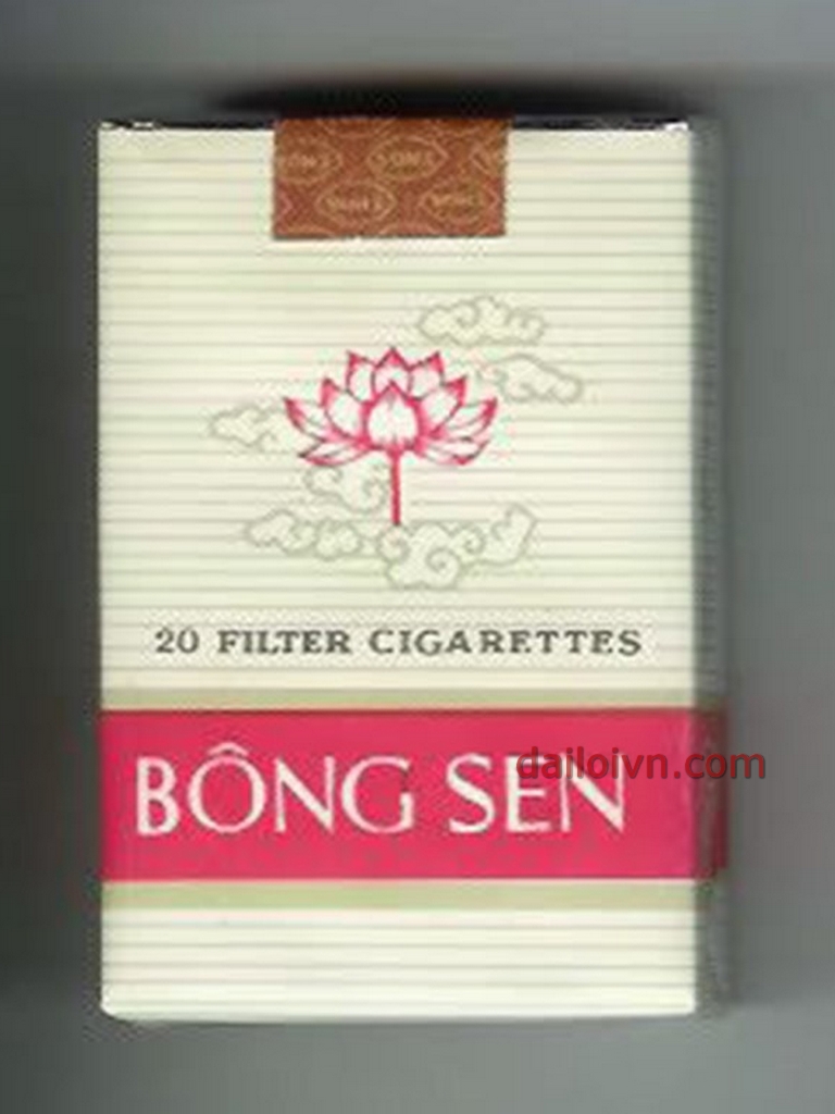 thuoclangayxua_thuoclathoibaocap_thuoclabadinh_thuocladienbien_odudep (3).jpg